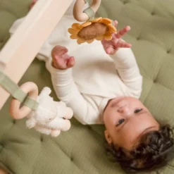 Babygym Little Farm