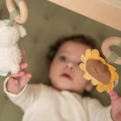 Babygym Little Farm