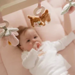 Babygym - Roze - Fairy Garden