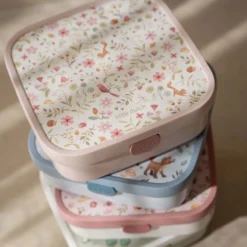 Bento Lunchbox groot Fairy Wonders
