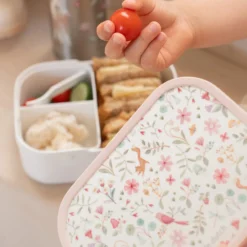 Lunchbox Fairy Wonders