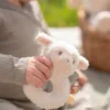 Zachte ringrammelaar schaap Little Farm